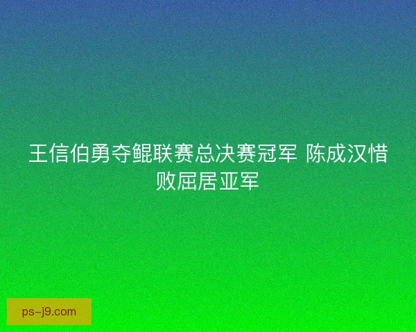 王信伯勇夺鲲联赛总决赛冠军 陈成汉惜败屈居亚军